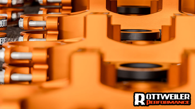 Rottweiler Performance