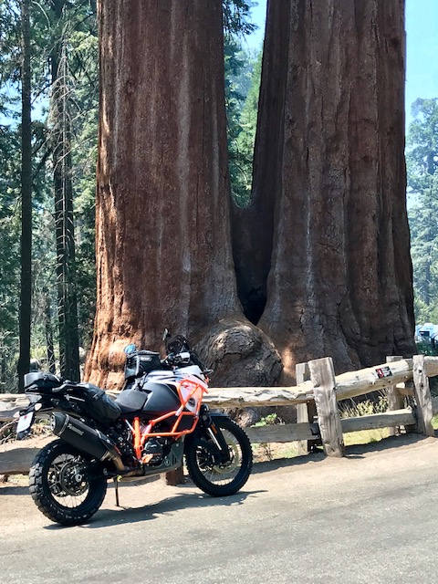People Enjoying Sequoia-Kings Adventure 3-Day