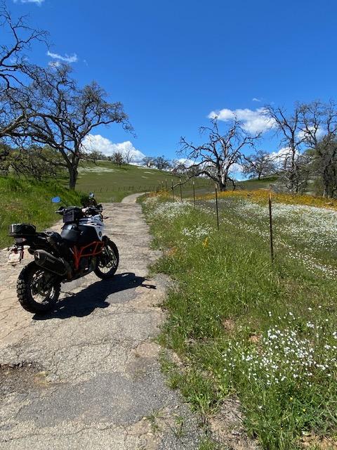 People Enjoying 49er Adventure Ride