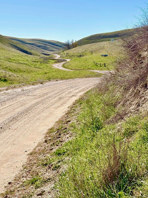 People Enjoying Diablo Range Adventure