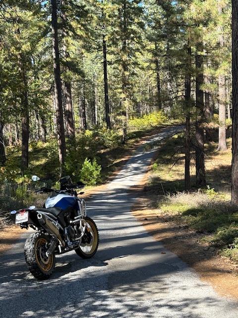 People Enjoying Gold Rush STREET Ride
