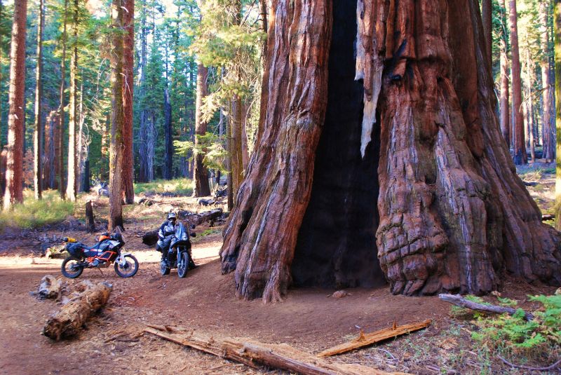 People Enjoying Sequoia-Kings Adventure 3-Days