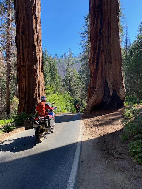 People Enjoying Sequoia-Kings Adventure 3-Days