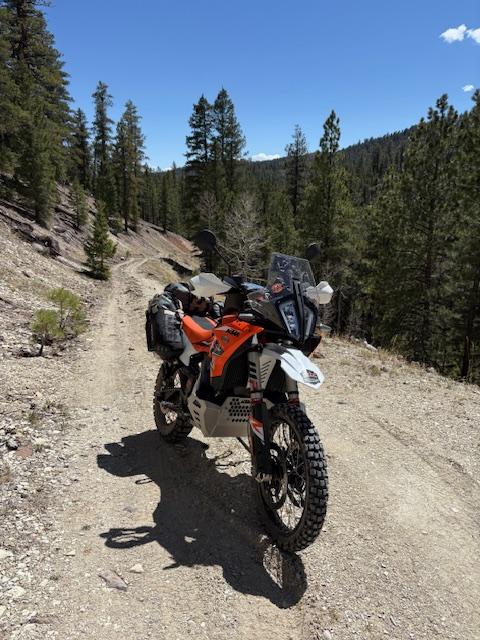 People Enjoying Utahs Best of the West