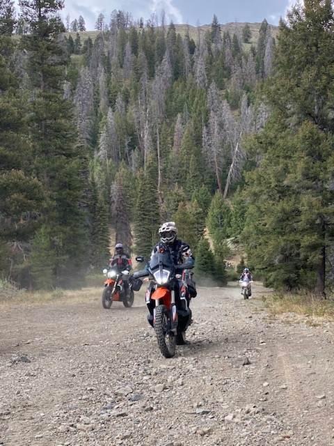 People Enjoying Yellowstone - Grand Teton 6-Days